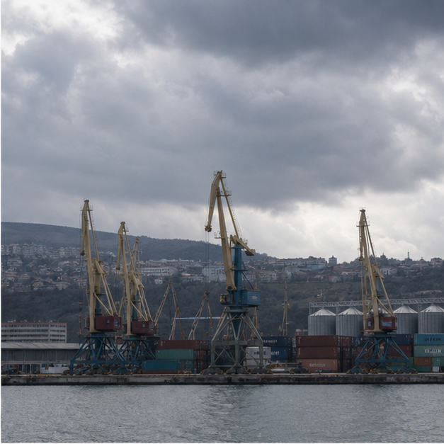Cargo ship and maritime logistics risk